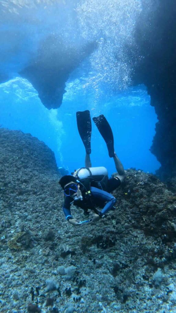 Roy Boo Window Raja Ampat