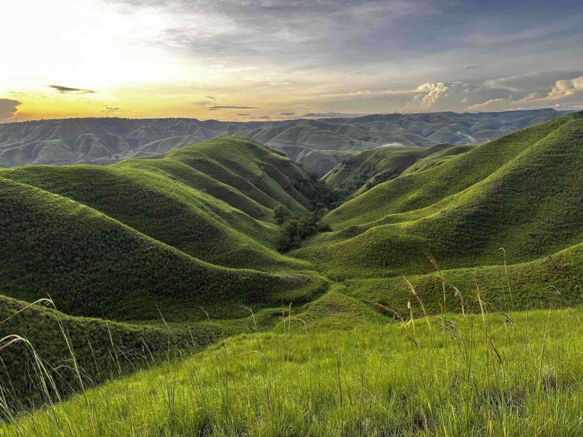Collines vertes et savane ondulante de Sumba Est en saison des pluies, Indonésie