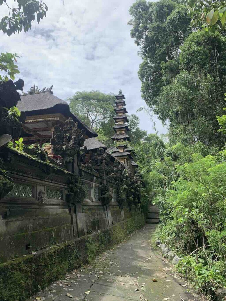 Campuhan Ridge Walk Ubud