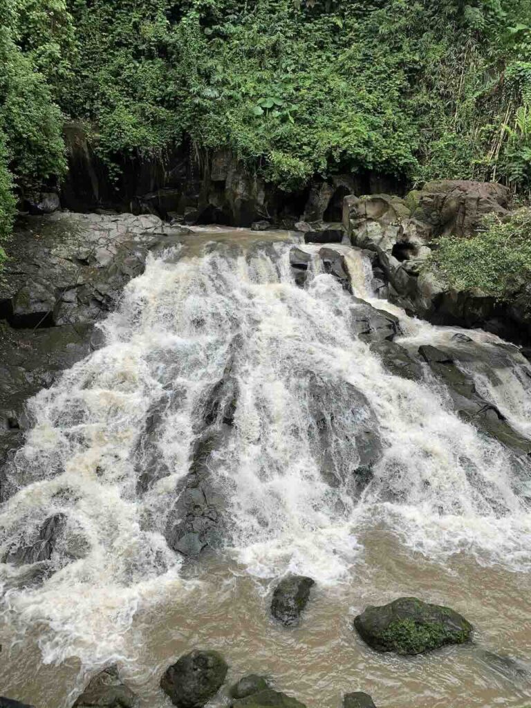 Cascade Goa Rang Reng Ubud Bali