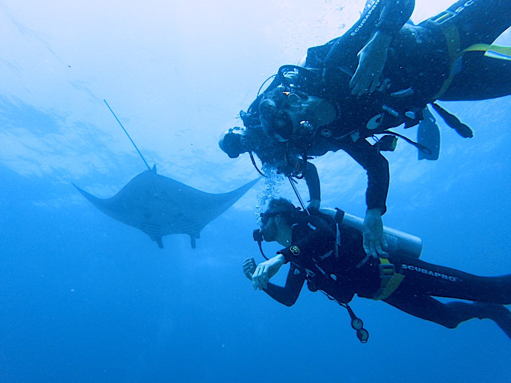 bapteme de plongee Raie Manta Nusa Penida Bali