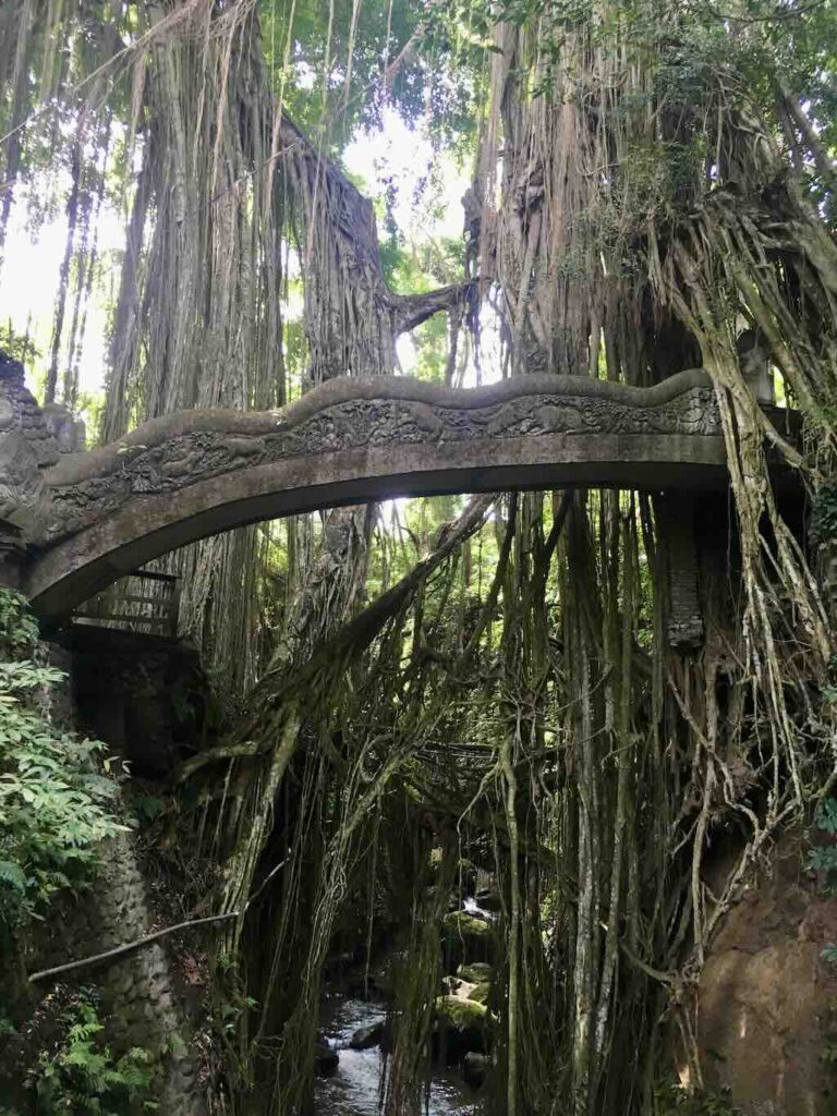 foret des singes Ubud