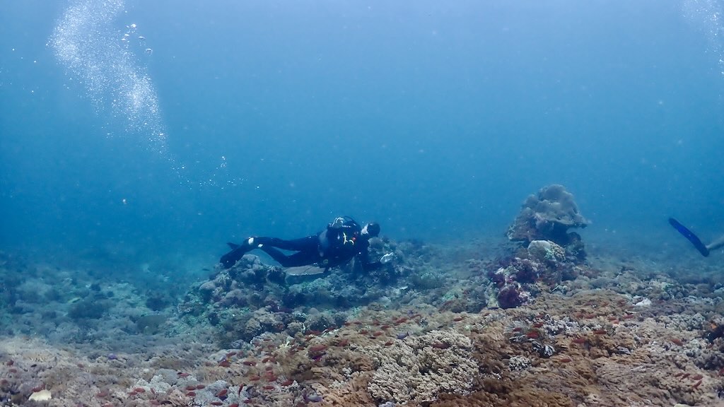 plongée sous-marine a Kertasari Sumbawa