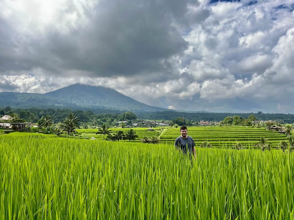 terrasses de riz de Jatiluwih Ubud Bali