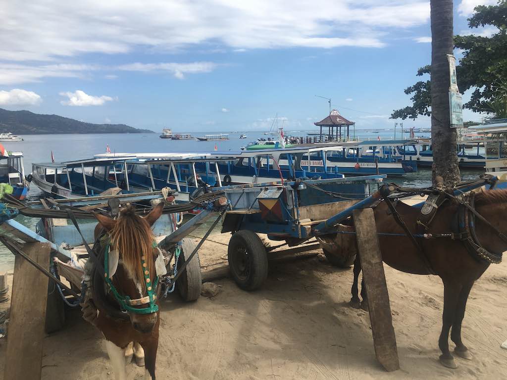 iles Gili charette à cheval