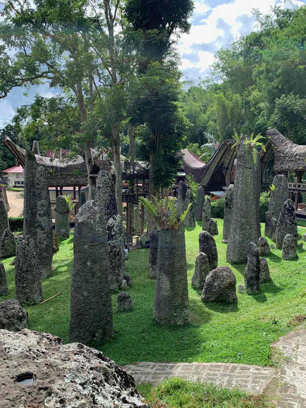 Champ de mégalithes dressés, simbuang batu, à Bori Kalimbuang, Tana Toraja, Sulawesi