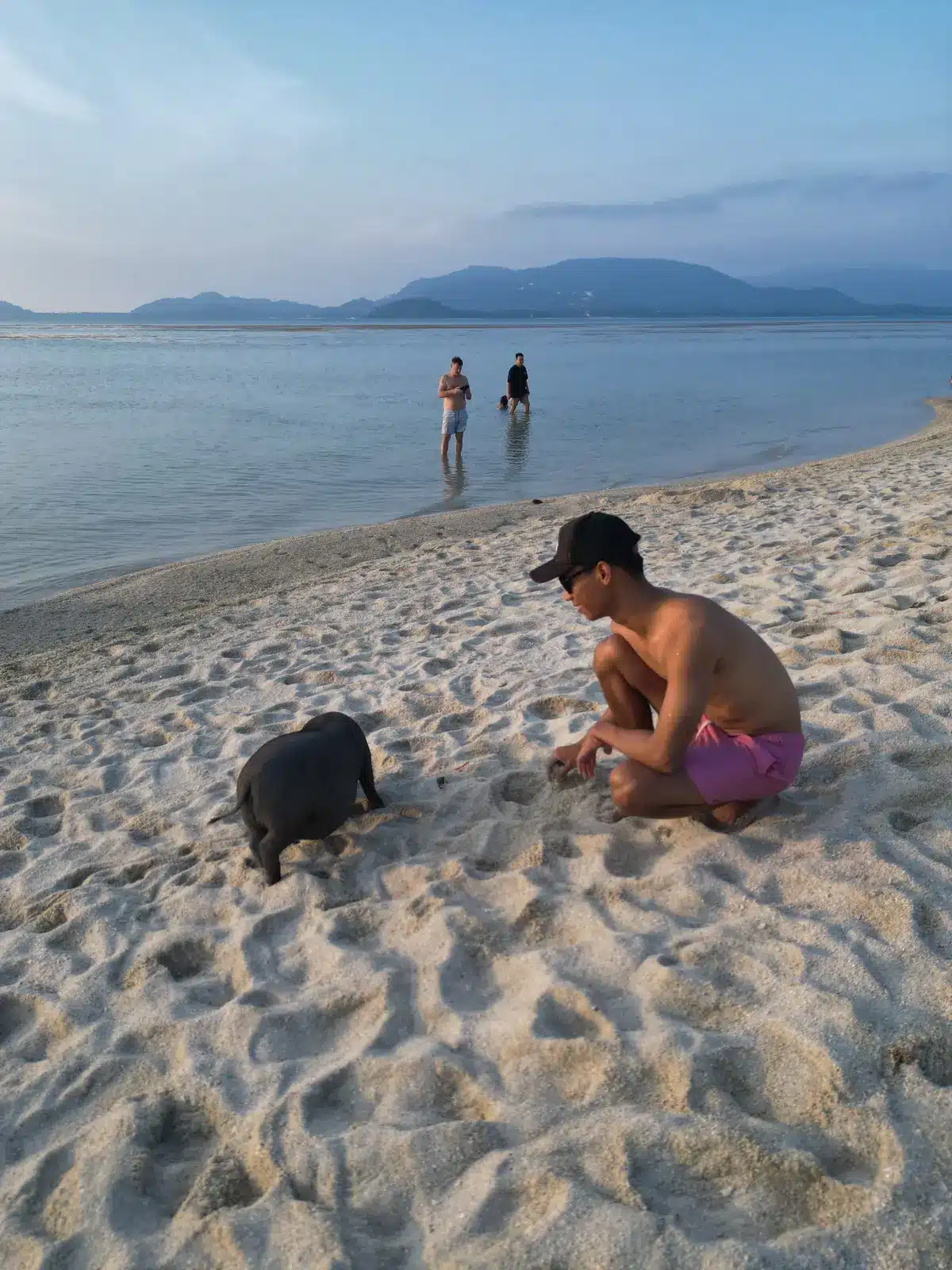 Un cochon noir sur la plage de Ko Mat Sum, Pig Island, Koh Samui