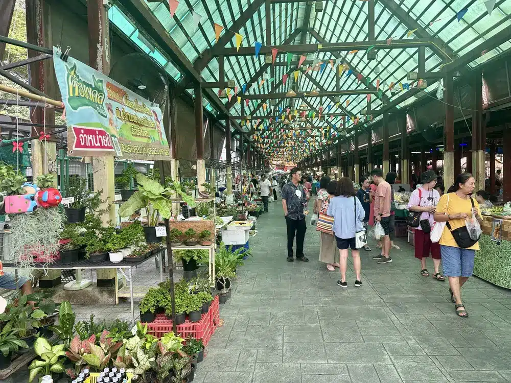 Rangées de plantes sous la verrière du marché de Taling Chan, Bangkok